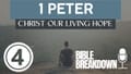 1 Peter 04: Suffering is Like Windshield Flappers